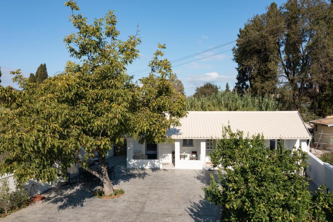 Walnut House - Peaceful Private Garden Vilă *