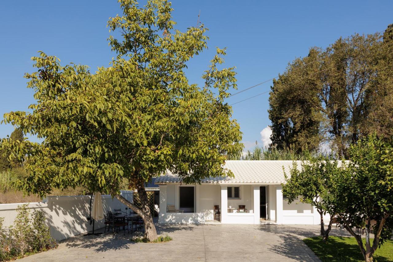 Walnut House - Peaceful Private Garden Vilă *